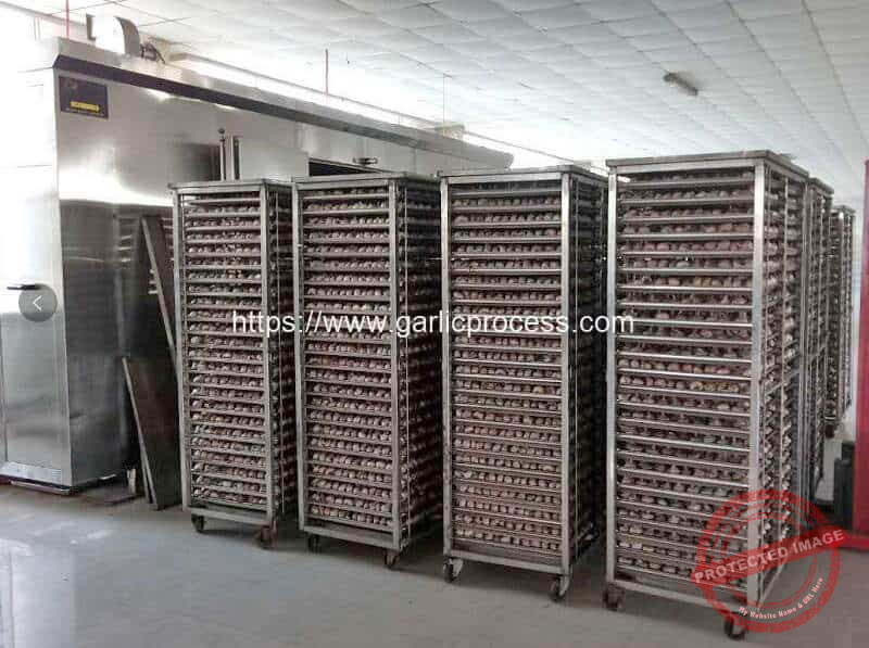 Black-Garlic-Fermentation-Machine-Internal-Structure